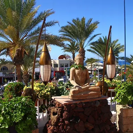 Apartamento Playaflor Chill Out A 50 Mtrs De La Playa (adults Only)