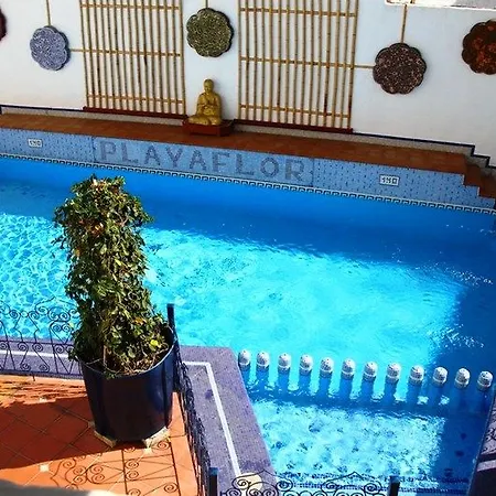 Apartamento Playaflor Chill Out A 50 Mtrs De La Playa (adults Only) *